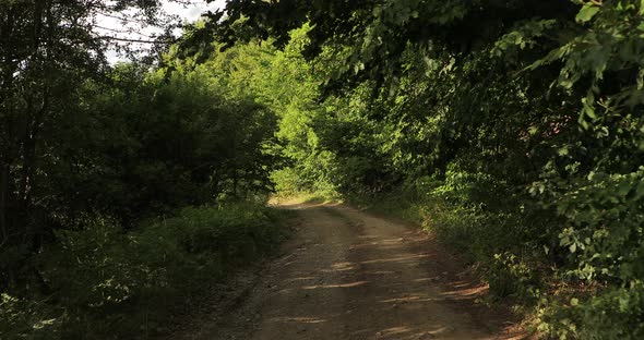 Beautiful Road in the Forest of Macedonia