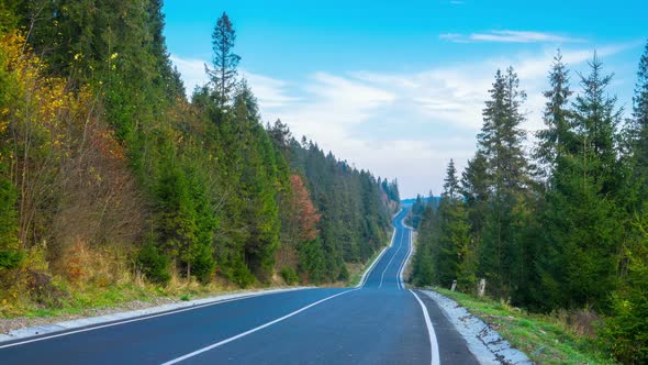 Up and Down Road through the Mountain Forest