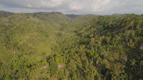 Tropical Landscape Rainforest and Mountains