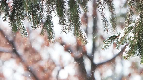 Snowy Christmas Beautiful and comfortable winter emotional landscape