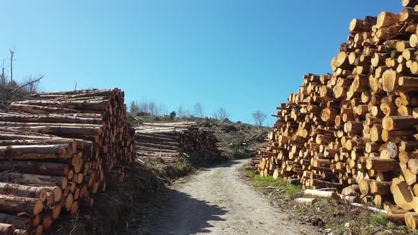 Timber Stacks Aerial at Bonny Glen in County Donegal - Ireland