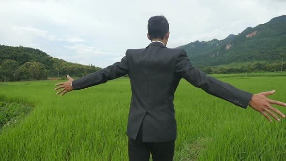 Businessman Open Arms Running On Rice Fields