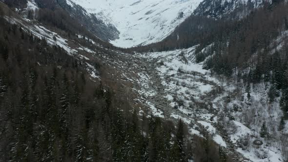 Flying over pine trees in a beautiful valley in winter