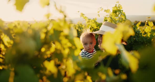 Young Beautiful Mother Having Good Time with Her Little Child in Summer Vineyard of Provence During