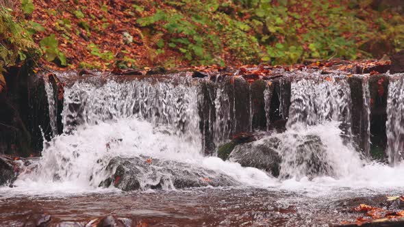 Beautiful Waterfall Shipot Closeup in the Autumn Forest