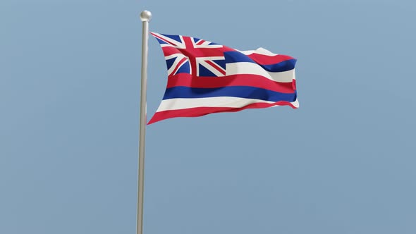 Hawaii flag on flagpole.