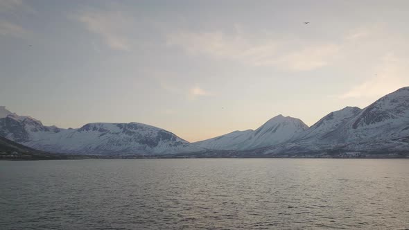 Aerial drone push in as seagulls fly past sunset sky, Norway Winter.