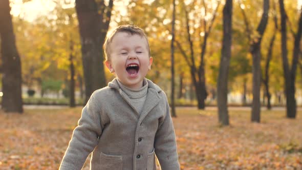 Cute Cheerful Boy in Autumn Park