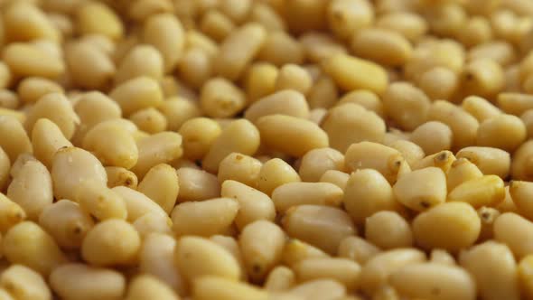 Pine Nuts Background. Unshelled Cedar Seeds, Closeup