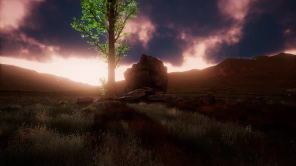 Aerial Green Hills Landscape in Fog alt