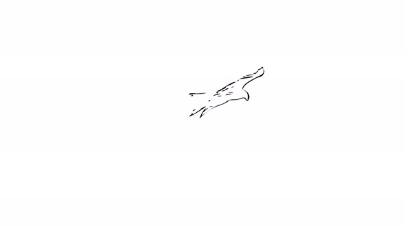 Falcon — Sketch