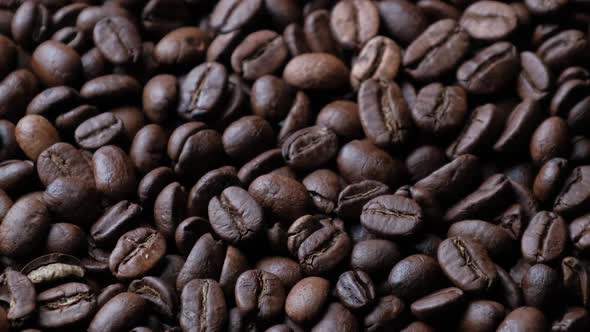 Coffee Beans Rotate Slowly