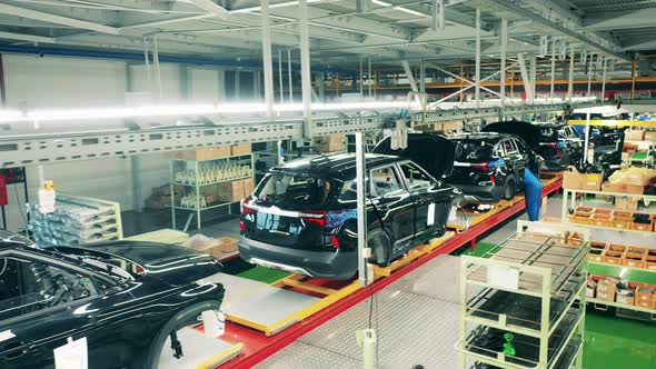 Glossy Car Bodies Standing on Assembly Line at Car Factory