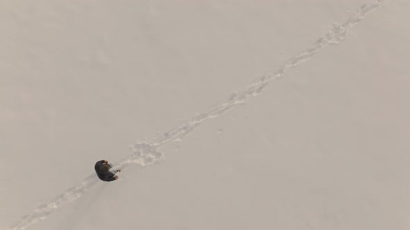 Person walking on snow topdown. A lone man walks diagonally. overhead.