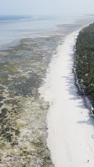 Vertical Video of Low Tide in the Ocean Near the Coast of Zanzibar Tanzania