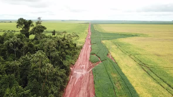 Road divides area of ​​native Amazon forest from soybean field after deforestation.