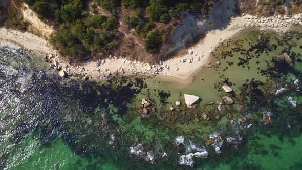 Aerial View of a Beautiful Beach with a Forest and Rocks