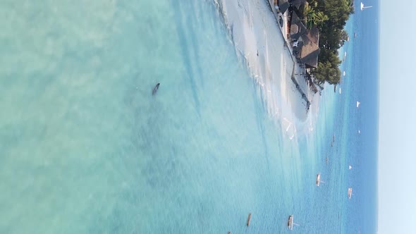 Vertical Video of the Ocean Near the Coast of Zanzibar Tanzania Aerial View