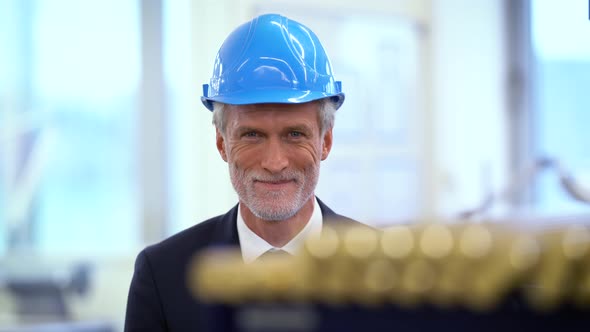 Smiling manager wearing helmet looking through metal part in factory