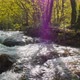 Streams of Water Flood the Green Biotope and Form Small Cascades to Lower Lake - VideoHive Item for Sale