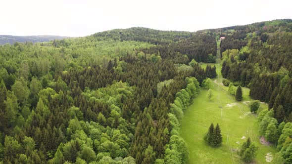 Aerial Drone Shot  a Green Forestcovered Hill in Countryside  Drone Turns to the Right