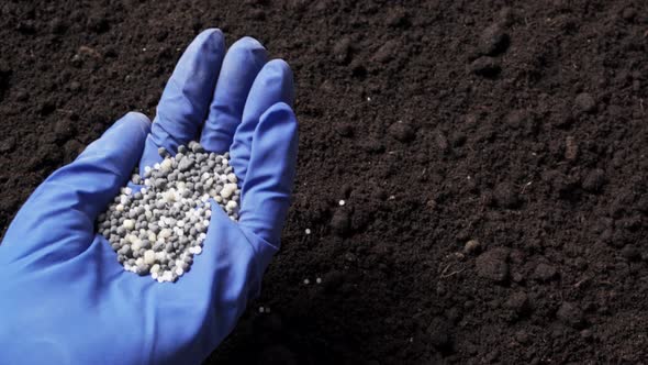 Mineral Fertilizer in Hand