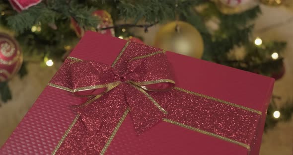 Dark Red Gift Box Under the Decorated Christmas Tree