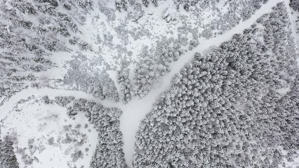 Aerial View at Path Through Snow Covered Forest in Austria