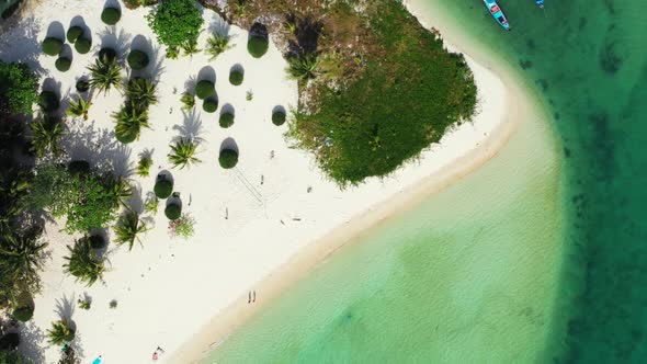 Aerial drone shot tourism of luxury island beach lifestyle by clear lagoon with white sandy backgrou