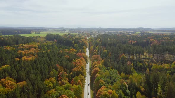 Aerial timelapse of a autumn colored road leading through a colorful forest at a sunny day, many car