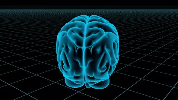 3D Animated Seamless Loop Of A Human Brain