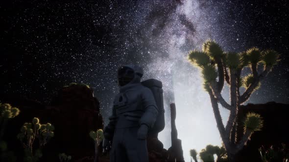 Astronaut and Star Milky Way Formation in Death Valley