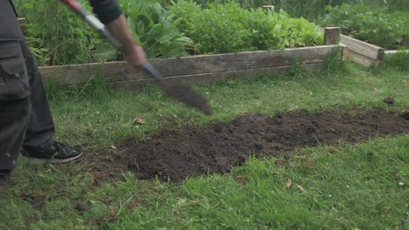 Young gardener shovels soil making row in garden