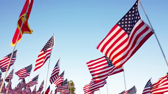 American and Foreign Flags Waving on the Wind with the Clear Sky Behind Malibu