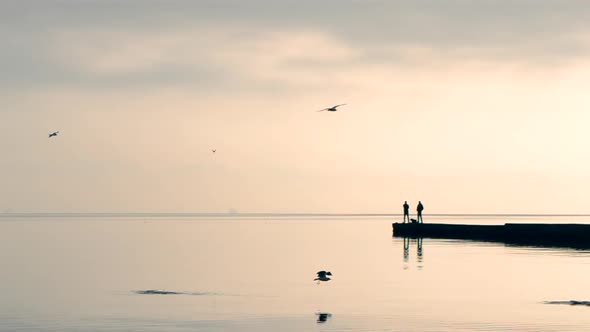 Two Men Stand and Fishing on a Breakwater in the Morning in the Evening