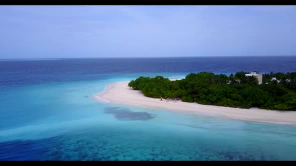 Aerial flying over texture of paradise bay beach wildlife by blue ocean and white sand background of