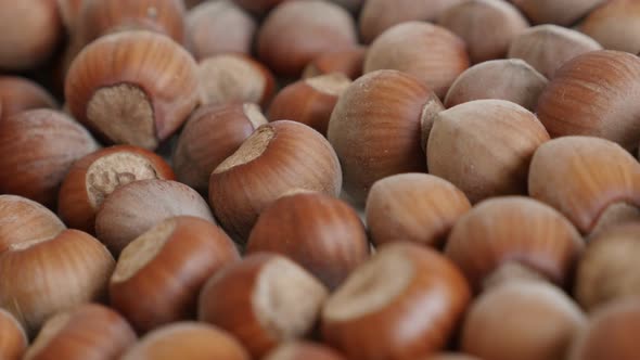 Close-up of organic  hazelnuts on white background slow pan 4K 2160p 30fps UltraHD footage - Whole n