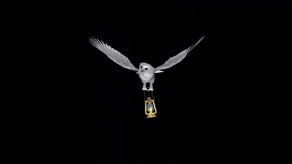 White Owl With Golden Lantern - Flying Transition III - Alpha Channel alt