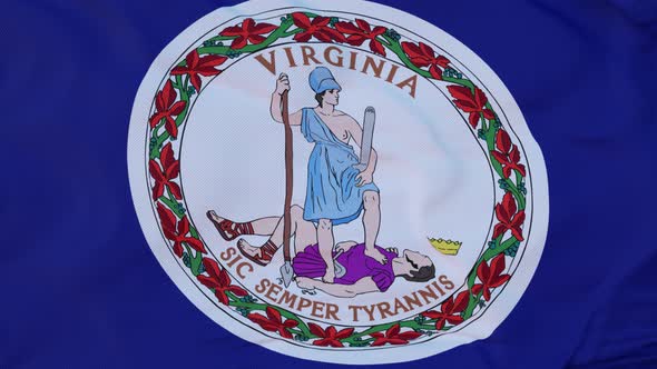 Flag of Virginia State Region of the United States Waving at Wind