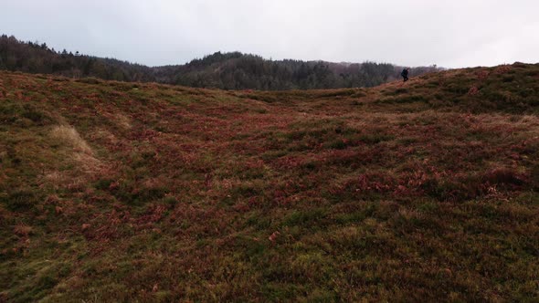 Aerial of a Tourist Hiking Along the Hills in Himmelbjerget Area Denmark