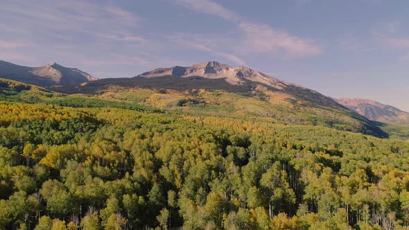 Aspens turning on Kebler Pass, Colorado