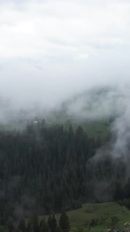 Vertical Video of Fog in the Mountains