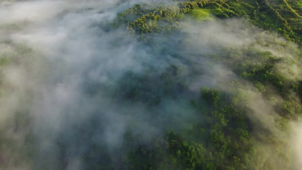 Top aerial drone view of green tropical forest and high mountains covered by low condensed clouds.