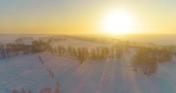 Aerial Drone View of Cold Winter Landscape with Arctic Field, Trees Covered with Frost Snow and