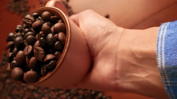 Close Up Shooting Seed Coffee