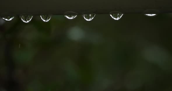 Rain dropping during a storm