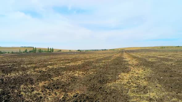 on the Field After Harvest