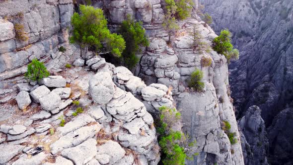 Aerial Flight Over a Huge Impressive Canyon A Beautiful Geological Wonder with Green Trees