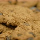 Cookie - VideoHive Item for Sale