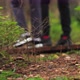 Hiking in the Forest - VideoHive Item for Sale